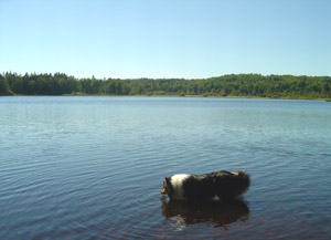 Jeffrey badet im See