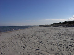 Badestrand auf Öland