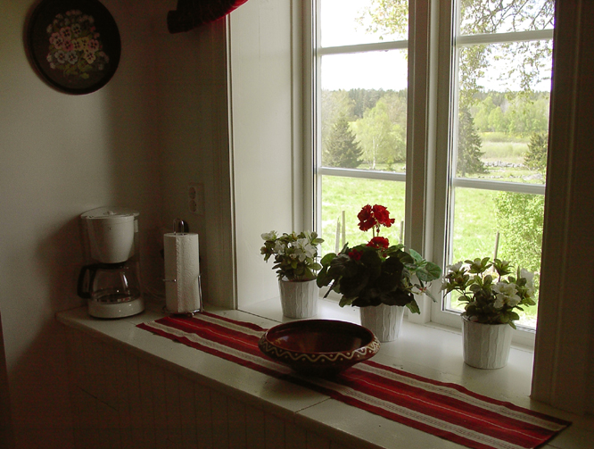 Blick aus dem Kchenfenster