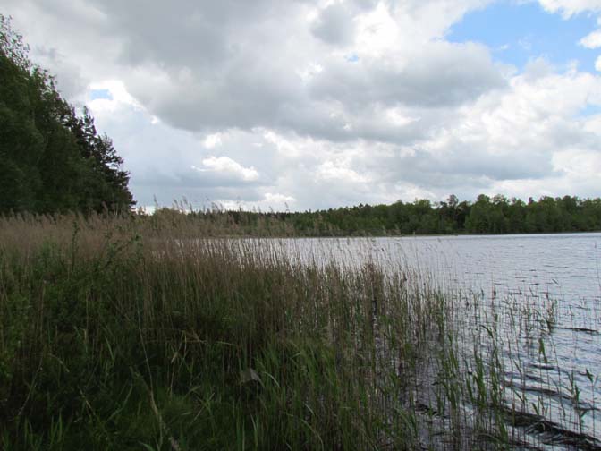 Am See