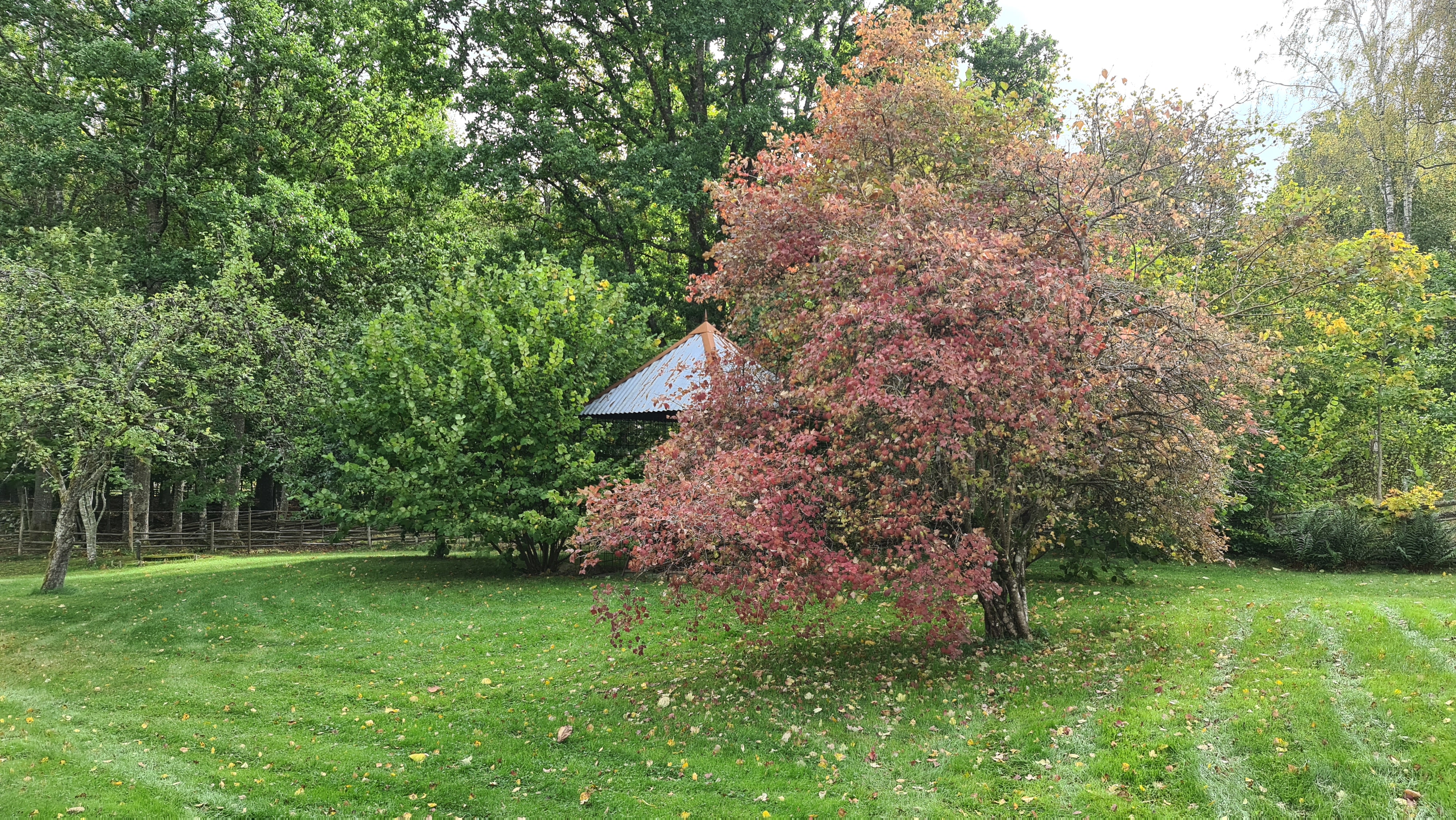 Garten hinter dem Ferienhaus