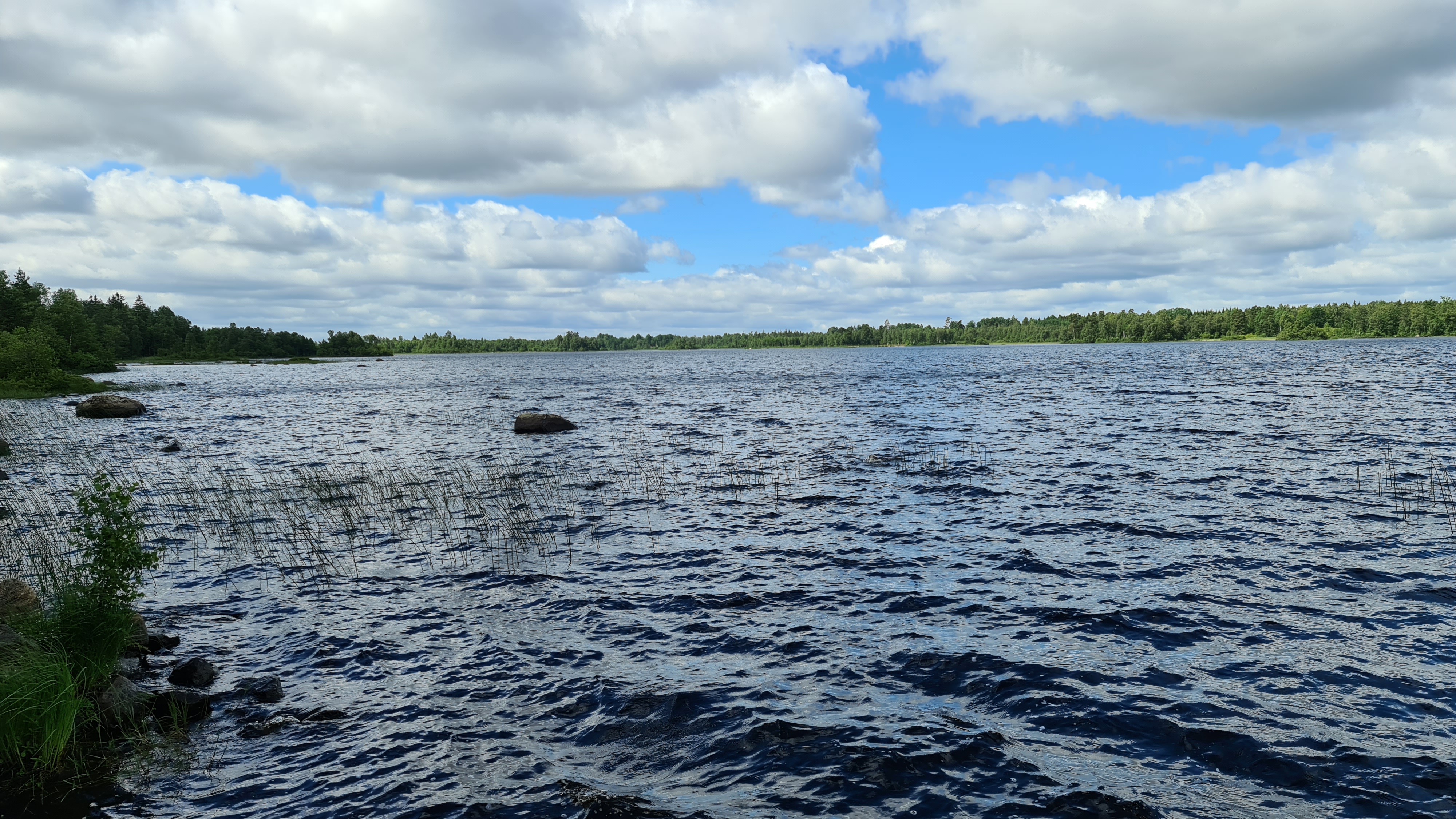 Blick auf den See