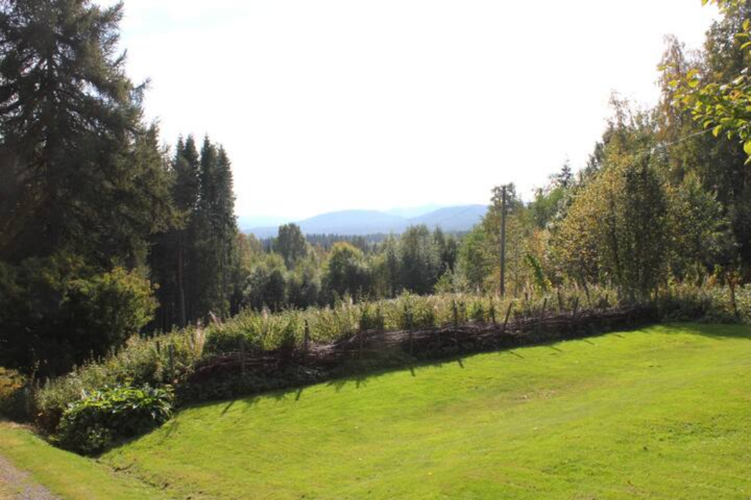 Die Aussicht