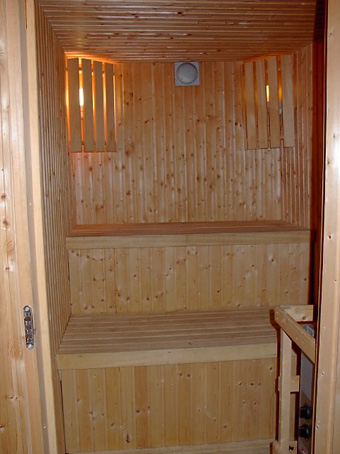 Elektrische Sauna incl.