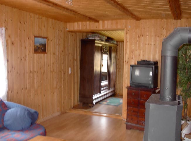 TV und Kamin im Wohnraum