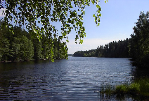 Natur der Umgebung